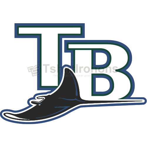 Tampa Bay Rays T-shirts Iron On Transfers N1944 - Click Image to Close